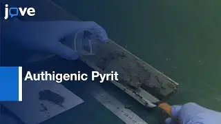 Sulfur Isotope Analysis by Authigenic Pyrit using SIMS | Protocol Preview