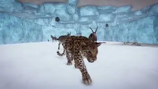 Amur Leopard | Planet Zoo Animals