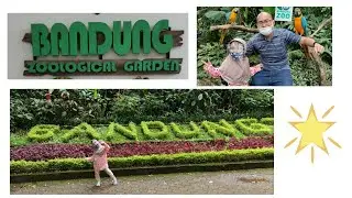 The Beauty of Bandung Zoological Garden (West Java)