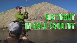 California Gold Country Trout -Fly Fishing the Yuba