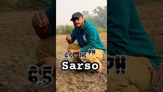 Sarson ki kheti kaise kre #khetkibaatein #agriculture #farming #desikheti #sarsokikheti #musturd