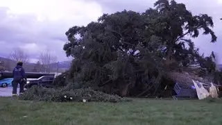 Missoula Wind Damage