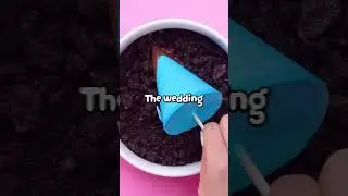 What insane wedding...  #shorts