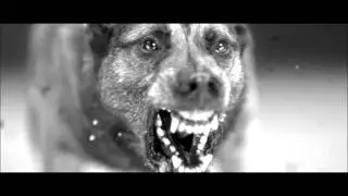 Brutality Will Prevail - Reprisal (Root Of All Evil)