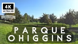 A Stroll Through Parque O'Higgins 🌳 | Santiago&rsquo;s Favorite Park