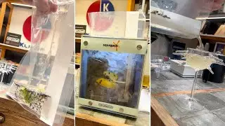 Squasher, emulsionadora por presión para coctelería | Conoce Squasher en este video con Damià Mulà