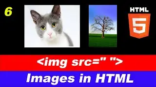 How to Add Images in HTML | img Tag Explained