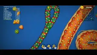 The Worms Zone Game