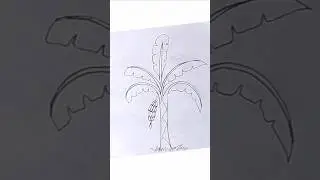Easy Banana Tree Drawing.