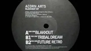 Acorn Arts - Future Retro