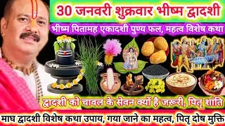 30 जनवरी भीष्म द्वादशी तिथि | विशेष कथा उपाय |एकादशी पुण्यफल,पितृ शांति,चावल,धन संपदा रोग मुक्ति #yt