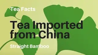 Importing Tea Directly from China