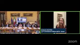 Intervento Simona Malpezzi Componente quarta commissione politiche UE