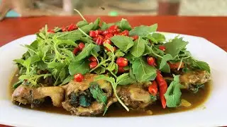 SPICY FROG FIELD | LEMONGRASS(hit) RECIPE!! Cooking Fry Spicy Frogs Field -Lemongrass & Hot Basil