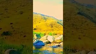 Alam Papua#view#nature#travel#cinematic#pesona#beauty