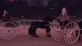 Friesian Sjees 2020