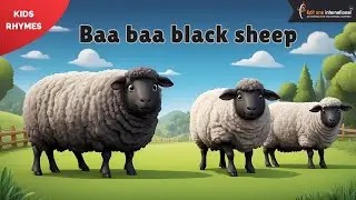 Baa Baa Black Sheep | Kids Rhymes | Edit One International