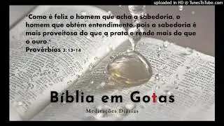 Um Achado Sem Igual!