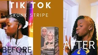 Trying viral TikTok skunk stripe on my locs| NatyiaT