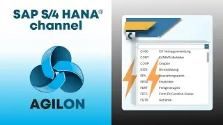 Dropdown-Listen mit Schl&uuml;ssel in SAP S/4 HANA anzeigen (SAP Fiori, SAP GUI for HTML, SAP GUI Java..)