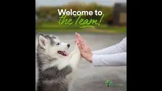 Onboarding for new petPros