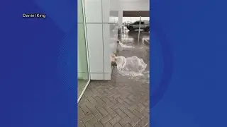 Watch: Rain downpour in Gilbert causes water rush at office building