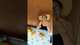 Mam&atilde;o colhido agora, &eacute; hora de saborear 😋 #vidanaro&ccedil;a #fartura #frutas