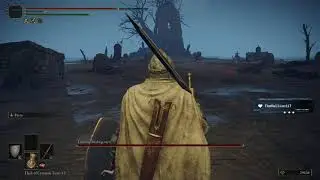 Elden Ring (PC) - Defeating Leonine Misbegotten