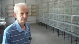 Allevamento Bruno Armondi