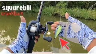 South Louisiana Bass Fishing On (Jack Miller's Landing)