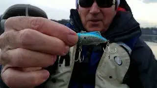Vintage & Classic Bass Fishing Lures - MUST WATCH!!