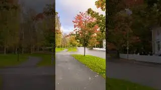 جمال فصل الخريف في السويد Autumn Sweden