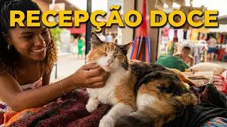 Recep&ccedil;&atilde;o Carinhosa dos Gatinhos na Feira de Caruaru 🐱💛AL NORDESTE EM FOCO