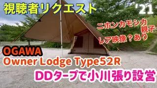 【オーナーロッジ】【小川張り】今回はリクエスト動画としてオーナーロッジにＤＤタープを使っての小川張りを設営してきました