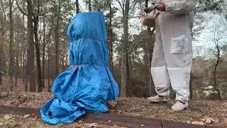AU Brood Monitoring Inspection - Beekeeping