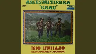 Carnaval Grauino