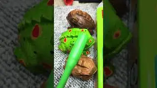 Funny wooden frog asmr  #funnyshorts #frog