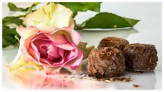 Best chocolate day status|Happy chocolate day|best chocolate day whatsapp status|chocolate day video