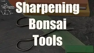 Sharpening Bonsai Tools