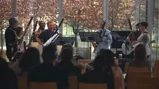 Rock E Bassoon - Day Tripper
