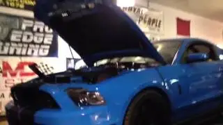 TVS Shelby GT500 Pro Edge Tuning
