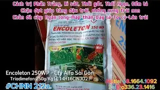 #CHNN 212a. C&aacute;ch chặn đọt, chằn đ&egrave; c&acirc;y tăng đậu tr&aacute;i, chống rụng tr&aacute;i non, to l&aacute;, mập c&acirc;y, lớn củ...