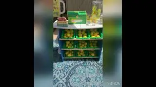 Melissa and Doug Lemonade Stand/ Grocery Store Review