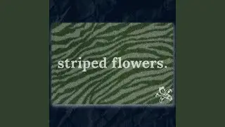 Float/Get Down