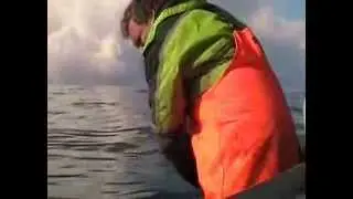 Film 3: Kveitekongen lemper inn kveite p&aring; 100 kg - med handmakt :-)