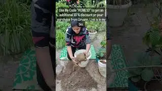 🌸 Repotting Tips for Lagerstroemia (Pride of India) | Flowering Perfection! 🌿✨