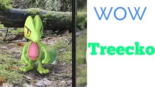 Treecko Community Day Coming To Pokemon Go
