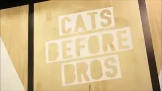 Swiss Cat Caf&eacute; (Schulprojekt)