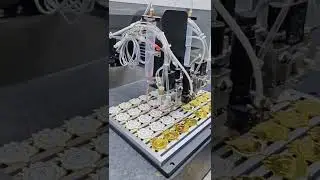 Automated Painting & Baking Process for Custom Medals | Factory-Direct Medal Finishing