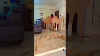 Camel cutout, cardboard camel cutout, #gujraticamel #gujrati #camel #camelcutout #shortvideo